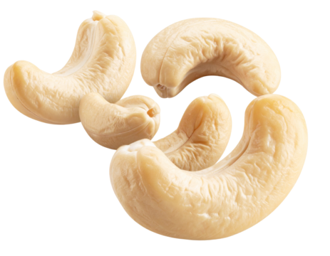 Hand-Drawn Floating Cashew Nut with Light Ink Sketch Lines, Transparent Background