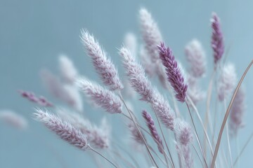 Minimal pastel floral composition with purple grass on blue background