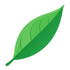 Simple Green Leaf: A vibrant illustration of a single green leaf, a symbol of nature's purity, standing out on its own. 