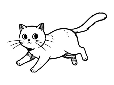 Playful running cat illustration in black and white on a transparent background