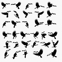 A collection of toucan silhouettes in various poses, including perched, flying, and standing, arranged against a light, patterned background.