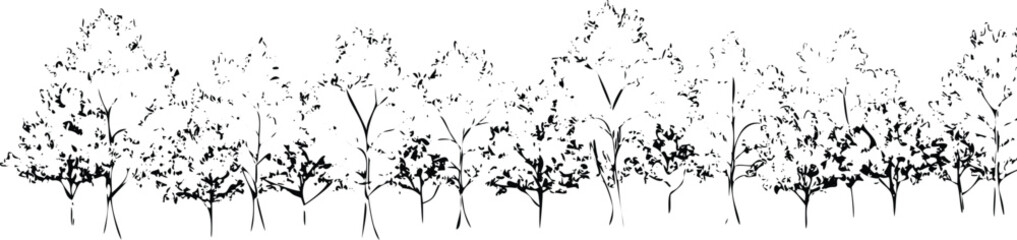 A detailed forest landscape featuring a variety of trees in a black and white sketch isolated on transparent background