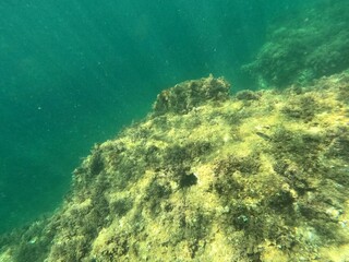 Calella de Palafrugell, Catalu&ntilde;a,. Espa&ntilde;a