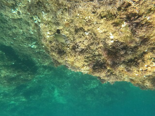 Calella de Palafrugell, Cataluña,. España