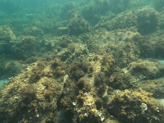 Calella de Palafrugell, Cataluña,. España