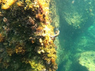 Calella de Palafrugell, Catalu&ntilde;a,. Espa&ntilde;a