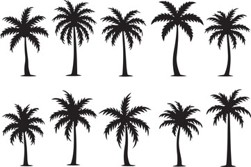 Tropical palm tree silhouettes against a vibrant sunset sky