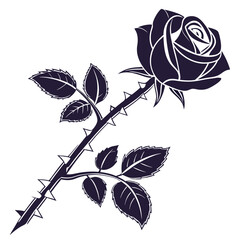 Black rose flower with thorns and leaves in detailed illustration  
