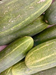 Fresh green cucumbers. Healthy, organic vegetables for salads, snacks, and cooking. Farm produce.