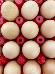 Brown eggs on red tray. Fresh farm food for healthy diet. Egg carton texture