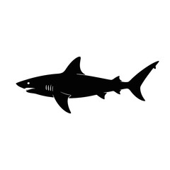 Obraz premium Great White Shark Silhouette marine life ocean