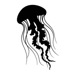 Graceful Jellyfish With Flowing Tentacles marine life