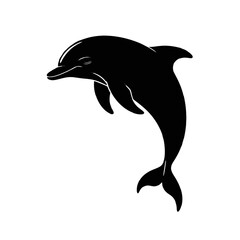 Obraz premium Leaping Dolphin marine mammal ocean