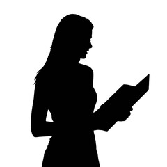 Majestic Eagle Soaring High bird flight