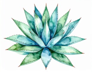 Watercolor Agave Plant Illustration in Shades of Blue and Green on White