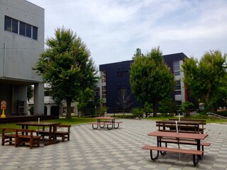 bench in front of a house