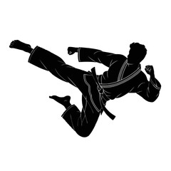 Martial Artist Performing High Kick martial arts karate