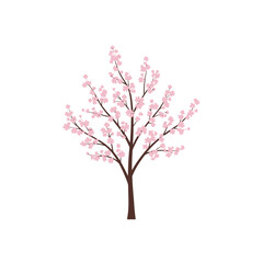 Naklejka premium Illustration of a blossoming Prunus serrulata tree with delicate pink flowers against a white background, concept for architecture design, landscape design and tree element for environment and garden