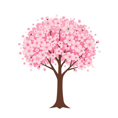Obraz premium Blooming cherry blossom tree with pink flowers on white background, concept for architecture design, landscape design and tree element for environment and garden