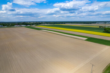 Crop Palette of Central Poland – Rapeseed Bloom, Green Vegetation, and Plowed Earth in Layered...