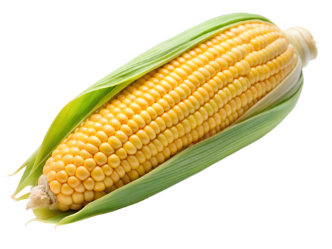 Photo of fresh yellow corn cob with green leaves isolated on transparent background - Powered by Adobe