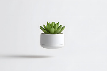Modern floating planter with a small green succulent hovering above a magnetic base. Perfect for interior design, eco-themed visuals, and futuristic decor.