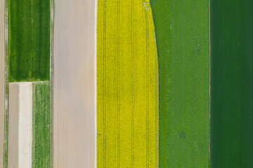 Crop Stripes of Central Poland – Seasonal Patchwork in Plowed, Green, and Golden Fields