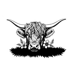 bull head vector 