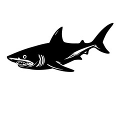 shark isolated on white