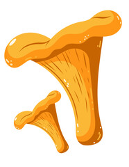 Cute Forest Mushrooms Chanterelle and Autumn Leaves Set. Vector Illustrations