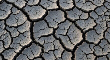 Abstract Macro Texture of Cracked Dry Clay Earth