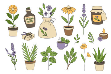 Hand drawn vector collection of healing herbs, flowers, and natural wellness items including mint, lavender, aloe vera, essential oils, herbal tea, and eco gifts.