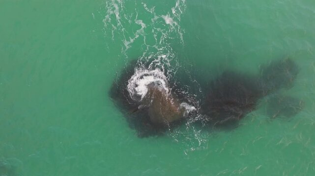 Aerial at Haukland Beach in Lofoten, top down shot of waves crashing to a rock