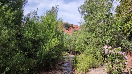 Rural Morocco: The Hidden Charms of Ouirgane