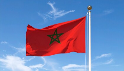 Naklejka premium The national flag of Morocco