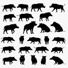 A collection of black silhouette illustrations depicting wild boars in various poses, including standing, walking, and resting.