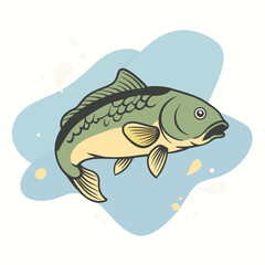 a Carp Fish Vector Illustration