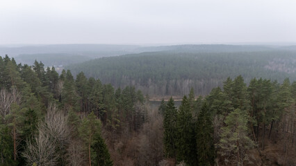 Aerial View of Dense Forest Under Overcast Sky