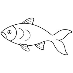 Carp fish line art illustration, isolated white background 