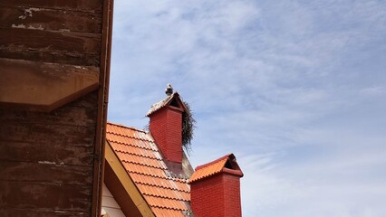 Ifrane: The Switzerland of Morocco