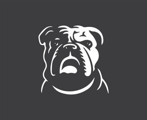 Close-up Bulldog Face Vector