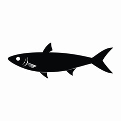 Fototapeta premium sardine fish vector illustration, isolated white background