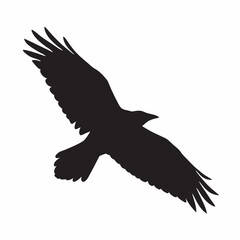 eagle in flight