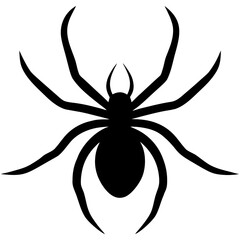 black widow spider