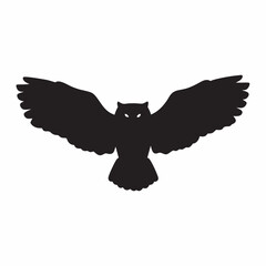 Fototapeta premium eagle in flight