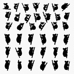 A collection of black silhouette illustrations depicting koalas in various poses, some climbing bamboo stalks, others sitting, against a white background.