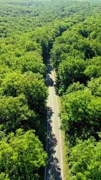 Arial top down drone view road in forest tree gravel road shot
