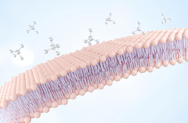 Cell membrane structure with molecule background, 3d rendering.