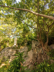 ダナンのマーブルマウンテン