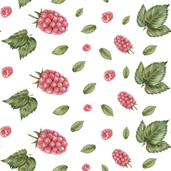 Seamless raspberry pattern with berries and green leaves. Hand drawn in watercolor. Botanical illustration, isolated on white background. For wedding invitations, design, scrapbooking, printing